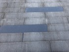 IMG_2075