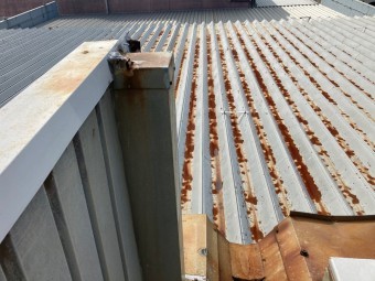 IMG_5555-columns2