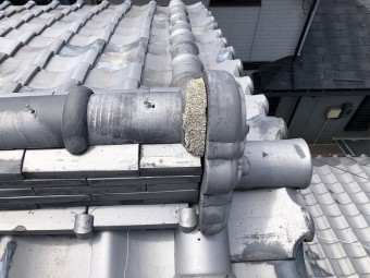 IMG_8713-columns2