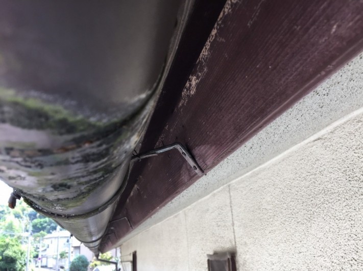 S__71327750-columns1