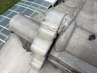 S__71573509-columns2