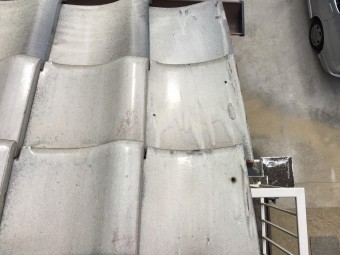 S__71573510-columns2
