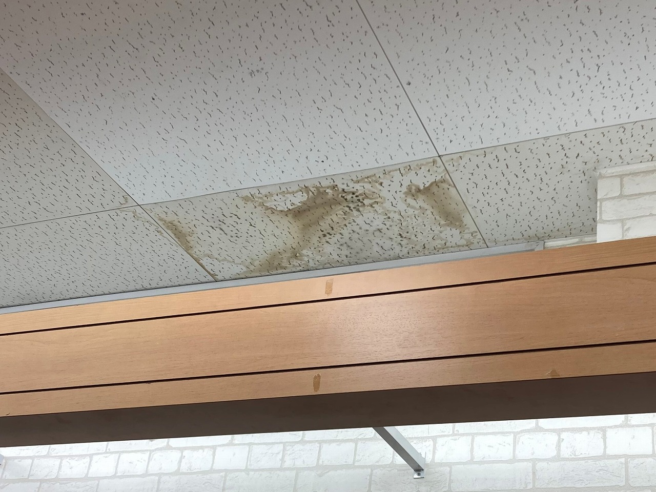 倉敷市水島にある商業施設の天井に発生した雨漏りの調査依頼です