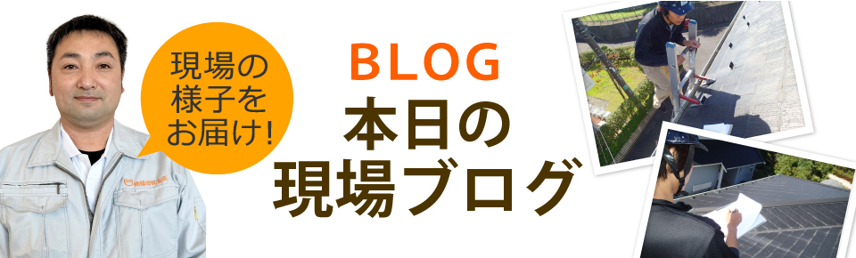岡山市、倉敷市、総社市やその周辺エリア、その他地域のブログ