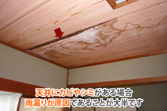 天井にカビやシミがある場合雨漏りが原因であることが大半です